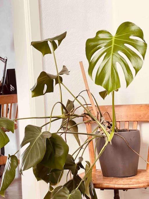 Luxus Loft Im Herzen Von Bochum Werne. Ngoại thất bức ảnh
